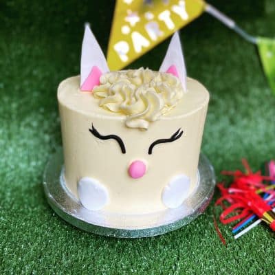 Kids-Bunny-Cake Bunny Birthday Cake